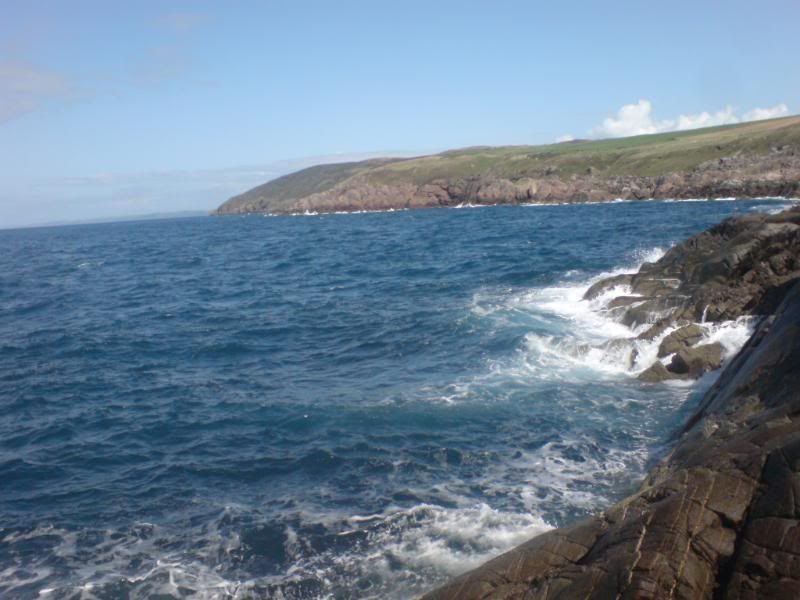 DSC03153.jpg