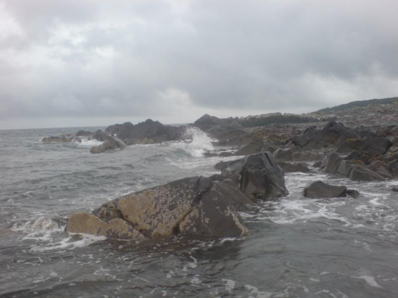 DSC03164.jpg