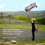 [Image: chucknorris.jpg]