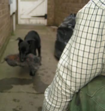 PICT0003.jpg