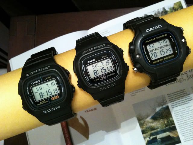 casio dw 310