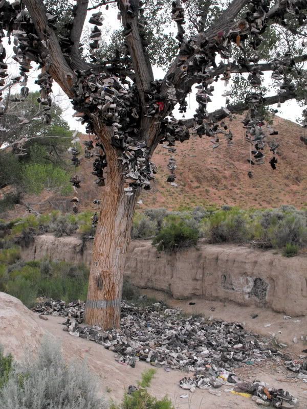 IMAGE: http://img.photobucket.com/albums/v651/boomalai/IA%20US50%20Rally/DSCF3994.jpg