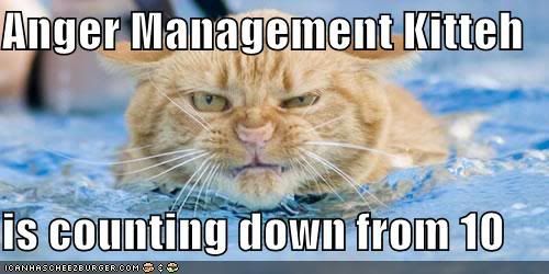 lolcats-funny-pictures-angermanagem.jpg