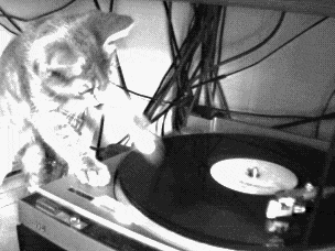 CATSCRATCHFEVER.gif 