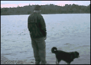  photo 3A81F8EC-B16E-4EE8-A777-04AF28EF70A6_zps2lhax2u5.gif
