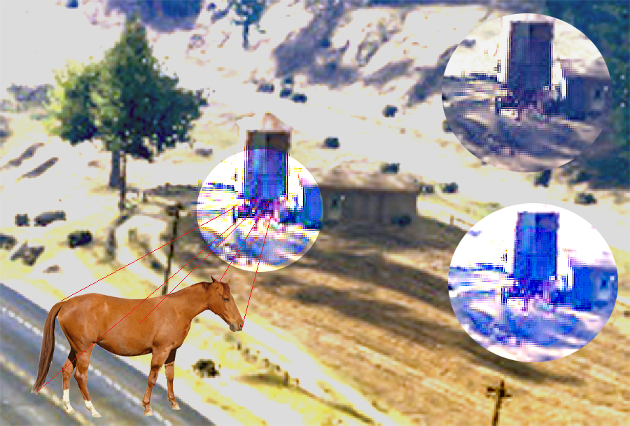 Horse_zps2ceb069d.png