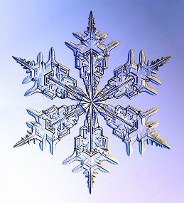 snowflake1