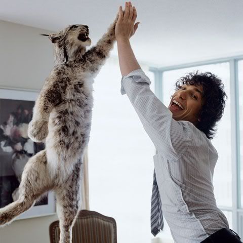 high-fiving-the-cat.jpg