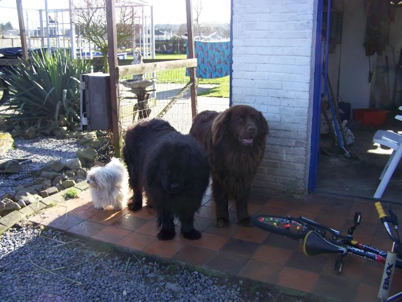 mooi weer
