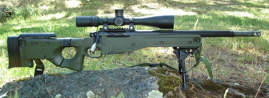 shorty308.jpg