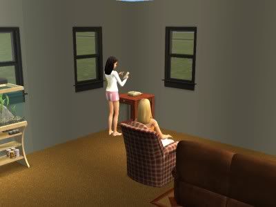snapshot_6f25043c_cf260b0a.jpg