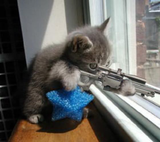MyLittleKitty.jpg