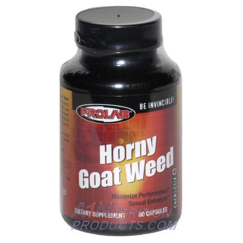 horny_goat_weed.jpg