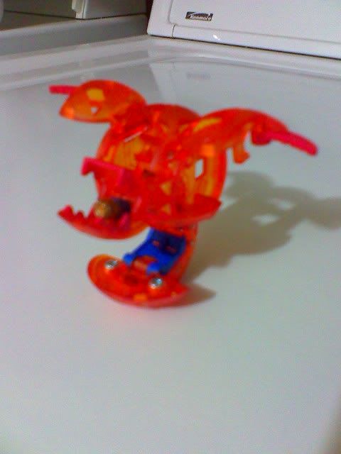 25-03-10_0842.jpg