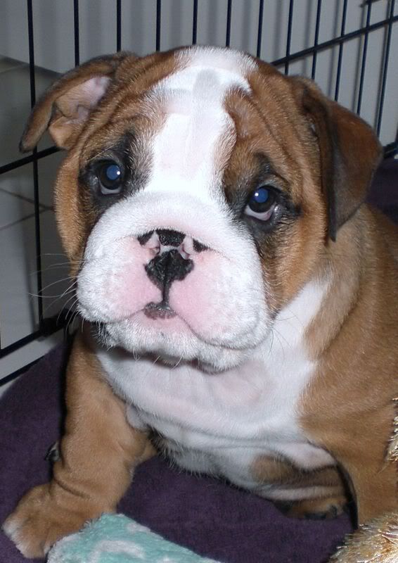 Benson1.jpg