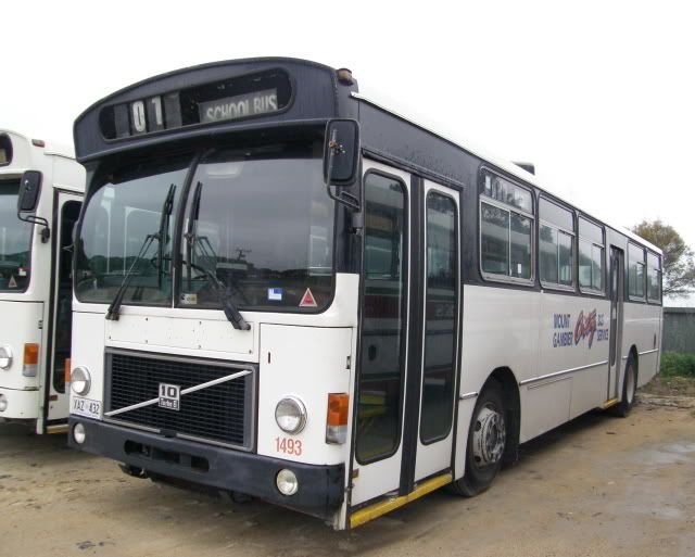 McCormicks / Citybus Mount Gambier