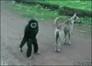 1197424221992.gif