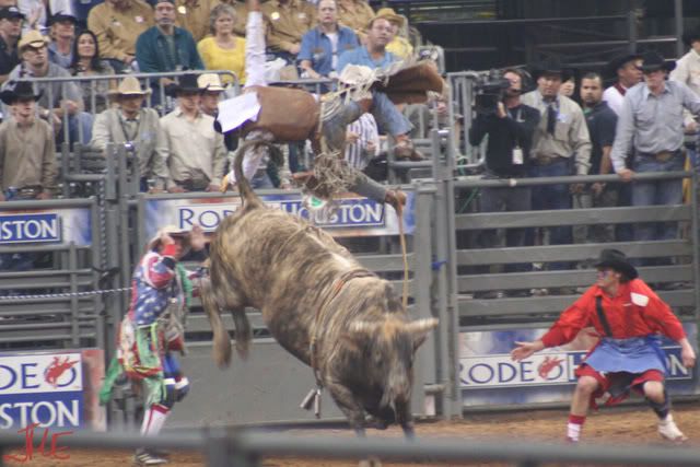 Houston Rodeo