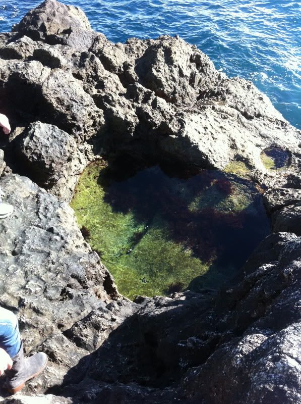 IMG 1850 - Big Sur, Ca - Tide Pools