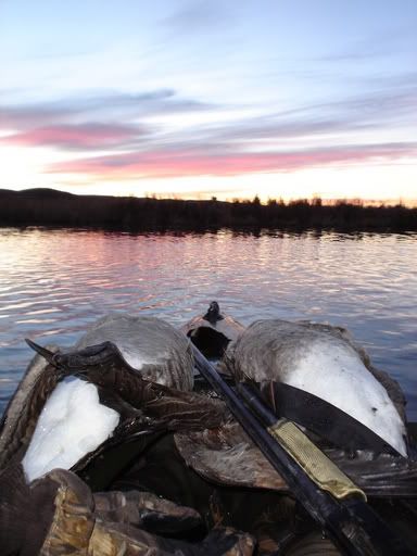 Goosehunting11-30-04004.jpg