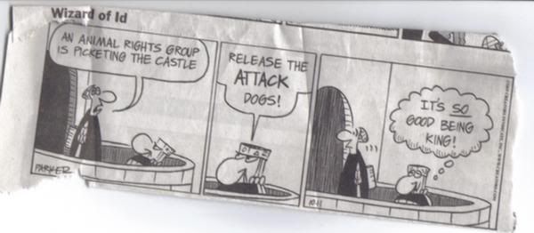 comic.jpg