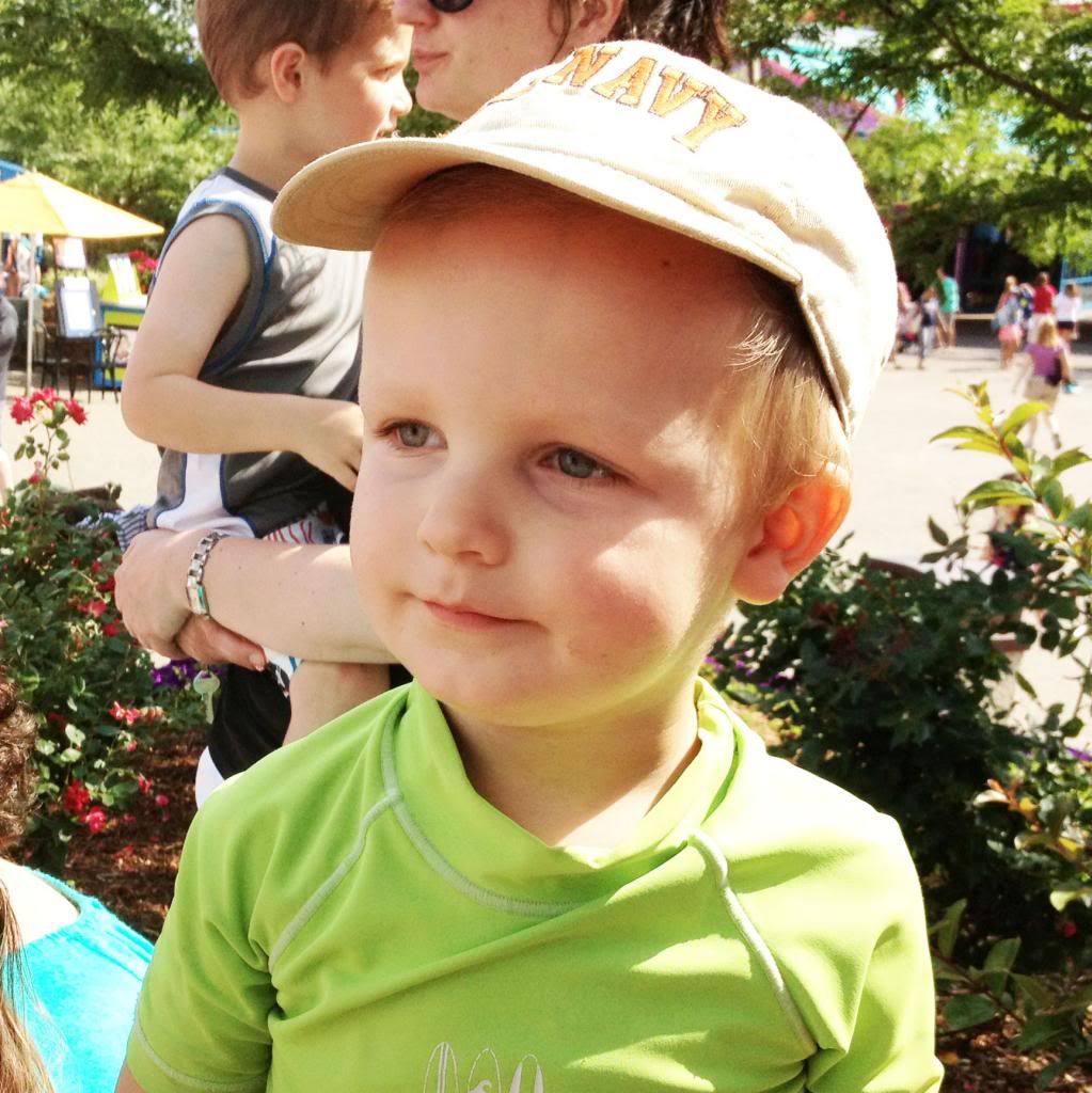 photo IMG_0858_zps40b9a4f5.jpg