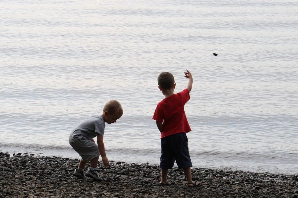 photo IMG_2586_zps42ee867b.jpg