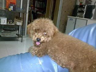 Photo Sharing and Video Hosting at Photobucket