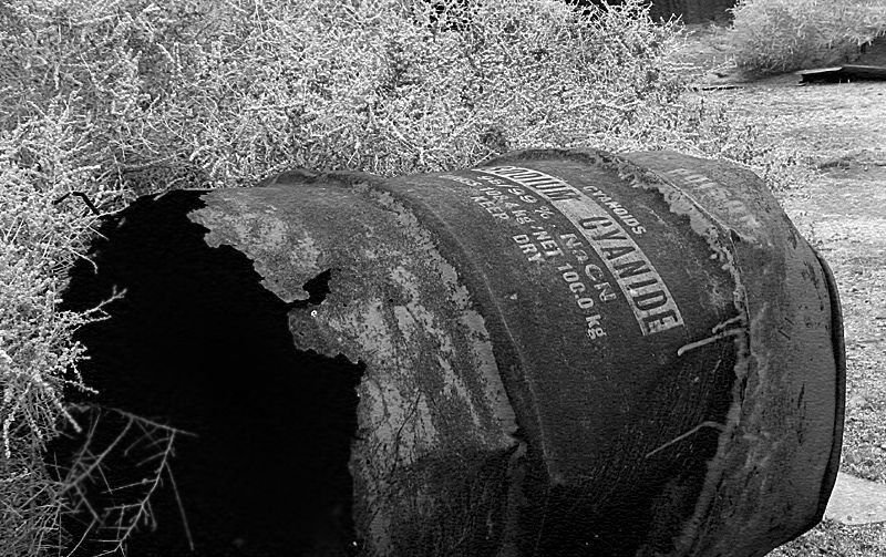 IMAGE: http://img.photobucket.com/albums/v655/patthebullitt/texture.jpg