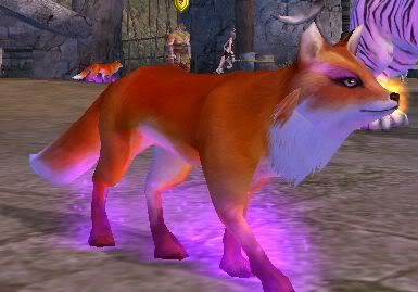 foxy.jpg