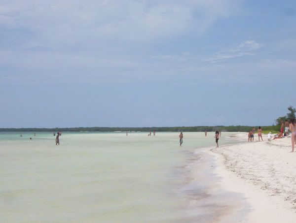 rencontre avec les dauphins club med punta cana