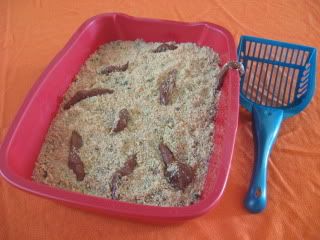 kitty litter cake