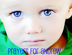 Prayers For Andrew