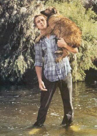 re: Muy Angry: Ressurection