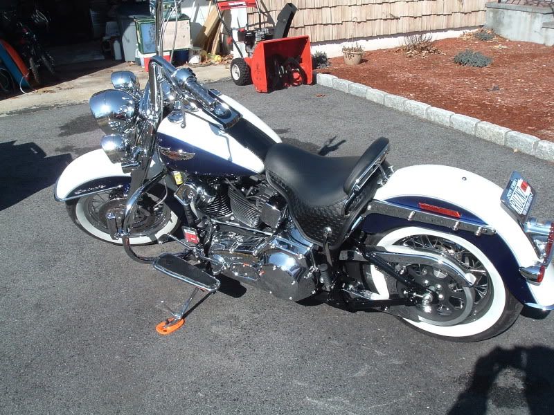 Softail deluxe seat bolt ? Harley Davidson Forums