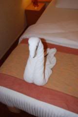 Towel Swan, 2nd night