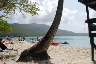 Maegan's Bay, St. Thomas VI