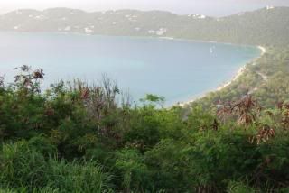 At the Top of St. Thomas overlooking Maegan's Bay