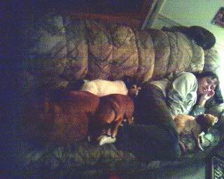 I Sleep With Dogs
