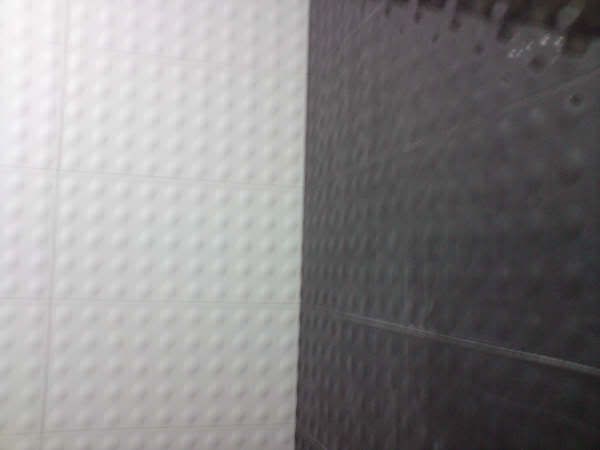 CommonToilet-Tiled.jpg