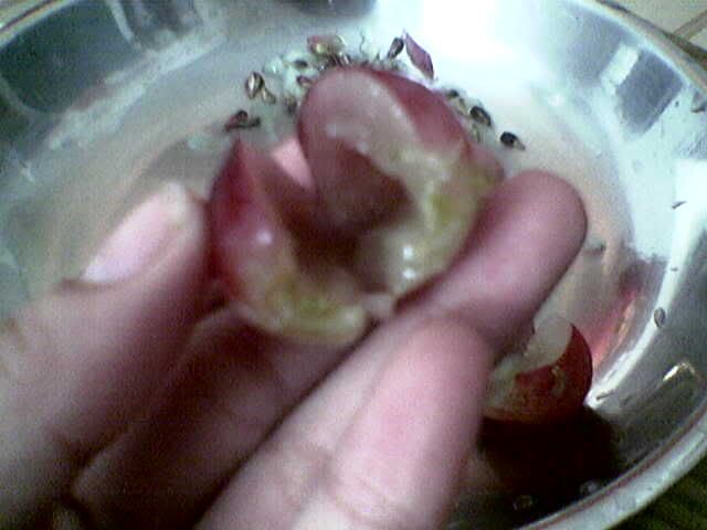 grape without the seeds!!