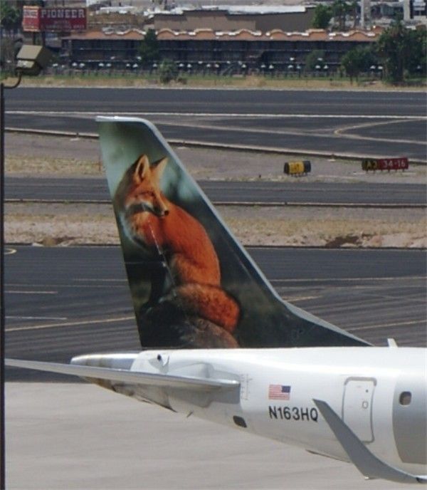 Commercial Airline Tail Markings Photos by RescueKUjo Photobucket