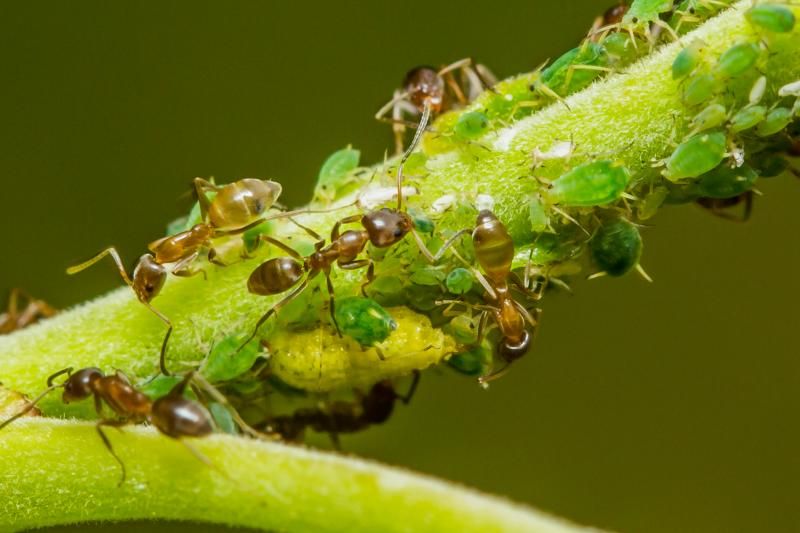 IMAGE: http://img.photobucket.com/albums/v661/dave_weldon/Photography/Bixby%20Marshlands/IE9A5335_zps67c5e3fc.jpg