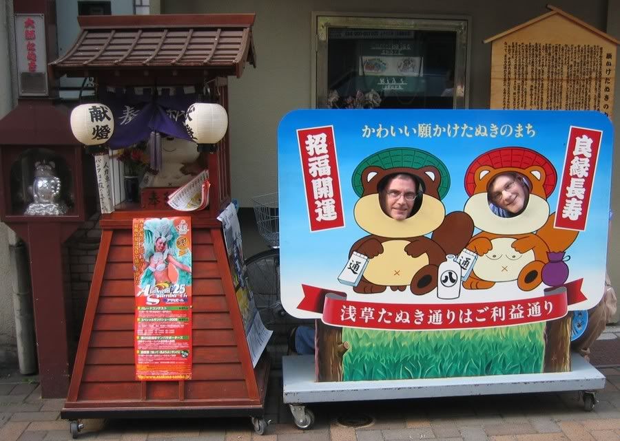 Tanuki Pictures, Images and Photos