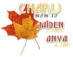 Photobucket Image Hosting