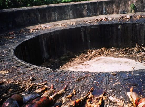 towerofsilence_interior550.jpg