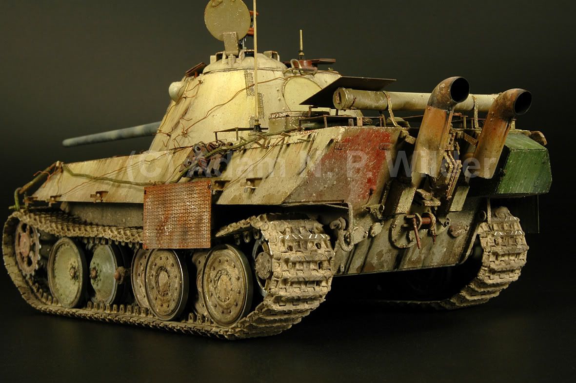 http://img.photobucket.com/albums/v662/AWilder/MP%20Forums/DSC_0012.jpg