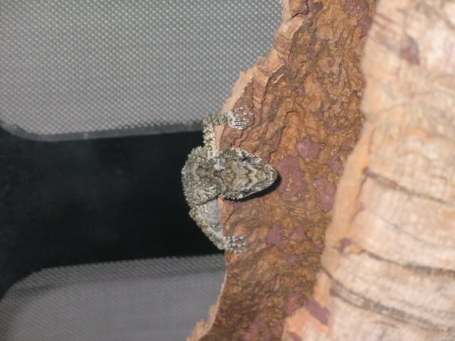 IMG_5066.jpg