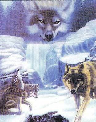 2077.jpg wolfs image by ussneo