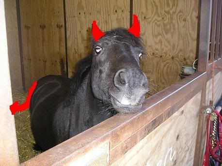 devilpony.jpg